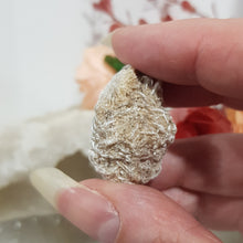 Load image into Gallery viewer, Desert Rose Selenite crystal stone Gemstone Specimen 30mm 6
