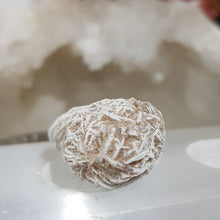 Load image into Gallery viewer, Desert Rose Selenite crystal stone Gemstone Specimen 26mm 9