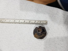 Load image into Gallery viewer, Garnet Raw Crystal Stone 20 - 25mm
