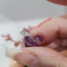 Load image into Gallery viewer, Mini Collectables crystal carving SQUIRREL & NUT fluorite gemstone 16mm 666