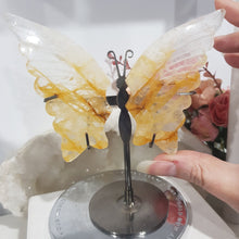 Load image into Gallery viewer, Butterfly Wings on Stand Golden Healer Crystal carving gemstone stone 120mm 4 STUNNING!