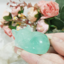 Load image into Gallery viewer, SLEEPING CAT Fluorite Crystal Carving Stone 50mm 1