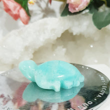 Load image into Gallery viewer, TURTLE Amazonite Crystal Carving Stone 50mm 3