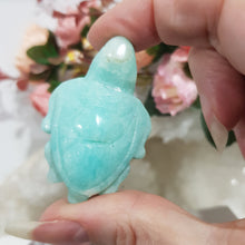 Load image into Gallery viewer, TURTLE Amazonite Crystal Carving Stone 50mm 4