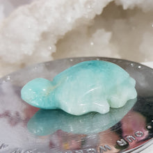 Load image into Gallery viewer, TURTLE Amazonite Crystal Carving Stone 50mm 5