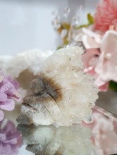 Load image into Gallery viewer, Fairy Quartz Cluster Crystal Carving Stone
Inspires Magick, Purity & Spirituality
Stunning Quartz Crystal cluster fairy with gorgeous quartz crystal teeth.