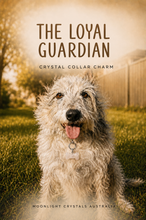 Load image into Gallery viewer, "THE LOYAL GUARDIAN" Crystal Collar Charm Dog Tag Quartz Bone Crystal Carving
FAITHFUL | PROTECTIVE | COMPANIONSHIP
"A dogs loyalty is one of life's greatest gifts.
The Loyal Guardian is a gentle reminder of the bond you share - always by their side through every adventure.
This charm celebrate the faithful heart that watches over yours every single day".
Chosen for the Loyal Guardian, Quartz symbolises the faithful companions that stand by us every day. Quartz is a beautiful Crystal to celebrate