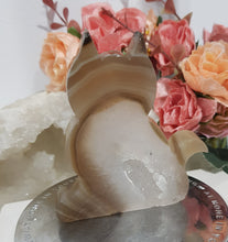 Load image into Gallery viewer, Agate-Cat-Crystal-Carving-Stone-Crystal-Moonlight-Crystals-Australia