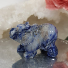 Load image into Gallery viewer, Bear Sodalite Crystal Carving Gemstone Stone 45mm 5