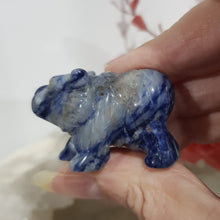Load image into Gallery viewer, Bear Sodalite Crystal Carving Gemstone Stone 45mm 5
