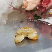 Load image into Gallery viewer, CRAB Crazy Lace Agate Crystal Carving 30mm 1 SO CUTE!