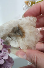 Load image into Gallery viewer, Fairy Quartz Cluster Crystal Carving Stone
Inspires Magick, Purity & Spirituality
Stunning Quartz Crystal cluster fairy with gorgeous quartz crystal teeth.