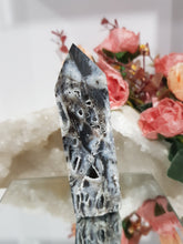 Load image into Gallery viewer, Black-Sphalerite-Crystal-Tower-On-Lean