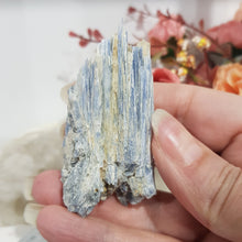 Load image into Gallery viewer, Blue Kyanite Crystal Raw Rough Stone 60mm 3