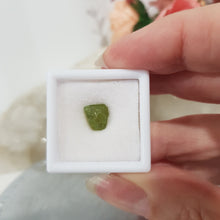 Load image into Gallery viewer, Peridot Crystal Gemstone Small Roughs / Specimen in display case 6mm / .60 carat (approx) 2 SUPER AFFORDABLE!