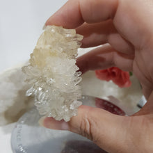 Load image into Gallery viewer, Squirrel Quartz Cluster Crystal Carving 50mm 1