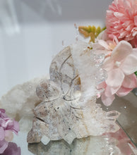 Load image into Gallery viewer, Fairy Quartz Cluster Crystal Carving Stone . Discounted as she is slightly bent
Inspires Magick, Purity & Spirituality
Stunning Quartz Crystal cluster fairy with gorgeous quartz crystal teeth. She is discounted as slightly bent at top