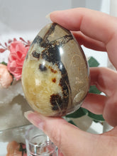 Load image into Gallery viewer, Beautiful polished Septarian Egg Crystal Carving Stone on plastic stand. A must for any crystal collector