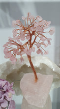 Load image into Gallery viewer, Rose Quartz Crystal Tree on Rose Quartz Base Stone
INSPIRES UNCONDITIONAL LOVE
Lovely Rose Quartz crystal Tree.