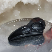 Load image into Gallery viewer, bird-skull-crystal-carving-stone-obsidian-moonlight-crystals-australia