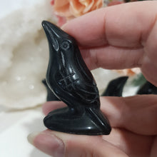 Load image into Gallery viewer, raven-crow-crystal-carving-stone-black-obsidian-moonlight-crystals-australia-online-store-melbourne-australia