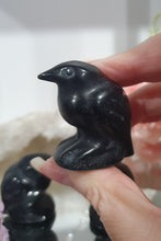 Load image into Gallery viewer, Raven Crow Black Obsidian Crystal Carving Stone.
Protection and Balance
Beautiful polished Black Obsidian Raven / Crow Crystal Carving Stone. Inspires Protection and Balance