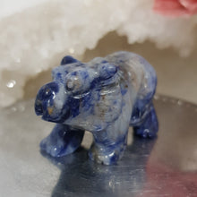 Load image into Gallery viewer, Bear Sodalite Crystal Carving Gemstone Stone 45mm 5