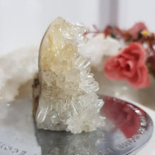 Load image into Gallery viewer, Squirrel Quartz Cluster Crystal Carving 50mm 1