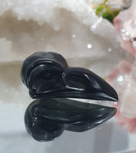 Load image into Gallery viewer, Raven Crow Skull Black Obsidian Crystal Carving Stone.
Protection and Balance
Beautiful polished Black Obsidian Raven / Crow Skull Crystal Carving Stone. Inspires Protection and Balance