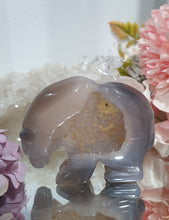 Load image into Gallery viewer, Bear Agate Crystal Carving Stone
Inspires Friendships and Harmony
Lovely Agate Bear Crystal Carving Stone with amazng druzy.