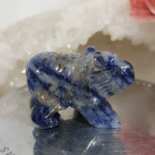 Load image into Gallery viewer, Bear Sodalite Crystal Carving Gemstone Stone 45mm 5