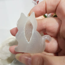 Load image into Gallery viewer, Cat Agate Crystal Carving Stone 50mm 8 DRUZY!