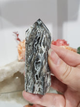 Load image into Gallery viewer, Black-Sphalerite-Crystal-Tower-On-Lean