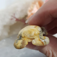 Load image into Gallery viewer, CRAB Crazy Lace Agate Crystal Carving 30mm 2 SO CUTE!
