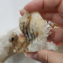 Load image into Gallery viewer, Squirrel Quartz Cluster Crystal Carving 50mm 1