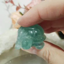 Load image into Gallery viewer, Turtle Fluorite Crystal Carving Stone 40mm 15