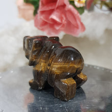 Load image into Gallery viewer, Bear crystal Carving Tigers Eye Gemstone Stone 40mm 8