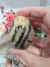Load image into Gallery viewer, Beautiful polished Septarian Egg Crystal Carving Stone on plastic stand. A must for any crystal collector