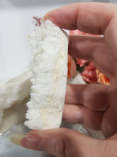 Load image into Gallery viewer, crystal-creature-titanium-aura-quartz-carving-stone