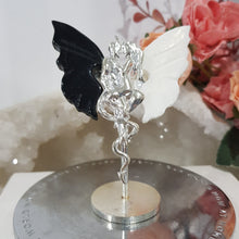 Load image into Gallery viewer, devil-angel-wings