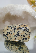 Load image into Gallery viewer, Dalmation Jasper Crystal Carving Tumble Stone.
Inspires Balance & Wonder
Gorgeous Dalmation Jasper Crystal Tumble Stone.