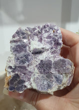 Load image into Gallery viewer, Lepidolite Raw Specimen Crystal Stone .
STONE OF TRANSITION
Beautiful Lepidolite raw crystal specimen stone. this is stunning. crystals embedded in stone so so lovely.