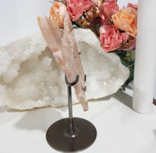 Load image into Gallery viewer, Butterfly Wings on Stand Flower Agate Crystal carving gemstone stone 130mm 1