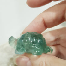 Load image into Gallery viewer, Turtle Fluorite Crystal Carving Stone 40mm 19