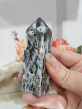 Load image into Gallery viewer, Black-Sphalerite-Crystal-Tower-On-Lean