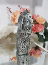 Load image into Gallery viewer, Black-Sphalerite-Crystal-Tower-On-Lean