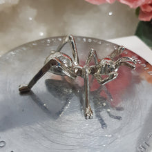 Load image into Gallery viewer, silver Ant Stand