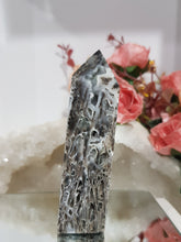 Load image into Gallery viewer, Black-Sphalerite-Crystal-Tower-On-Lean
