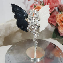 Load image into Gallery viewer, devil-angel-wings