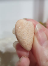 Load image into Gallery viewer, Peach Moonstone Crystal Carving Stone.
Calms and Balances
Gorgeous cute Peach Moonstone Heart Crystal Carving Stone.